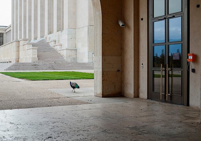 Palais des Nations, Genève © Koehle/Vermot, 2020